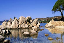 南宫28-包含训练课后体能课后，弗拉门戈迎来里程碑备战德甲，引发热议，阵容厚度经受考验的词条